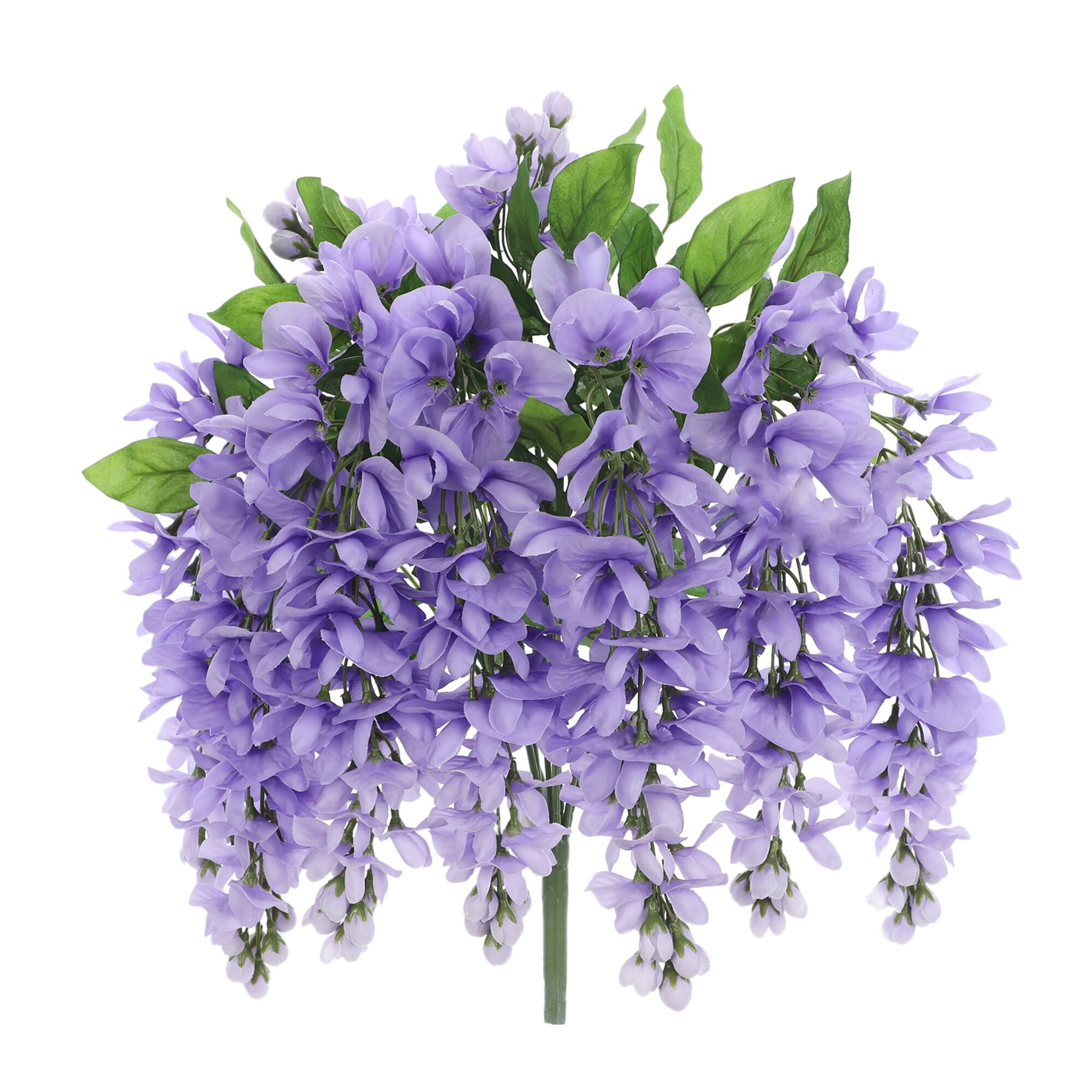 Wisteria Bush by Ashland